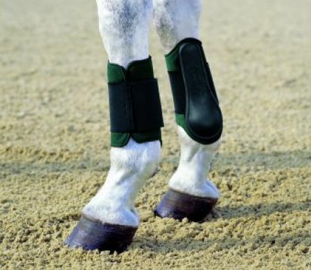 Horse boots, Tendon Boots - PIKOSOFT front