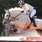 Eventing horse boots and cross country horse boots 