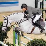 Show jumping horse boots