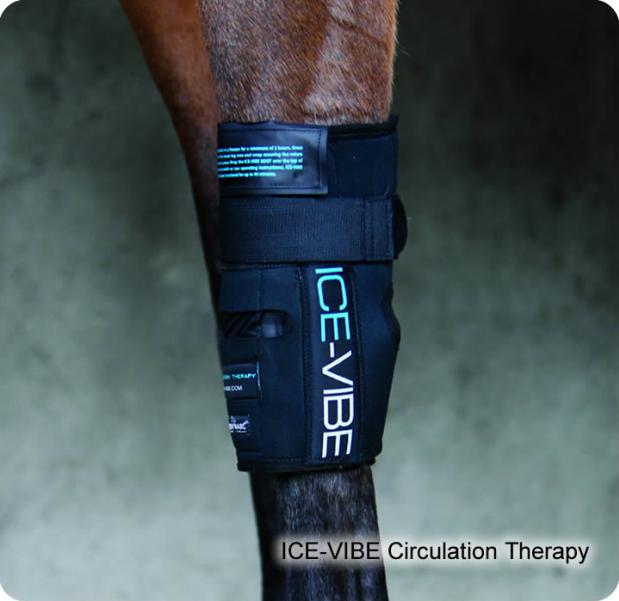 Ice Vibe Boots