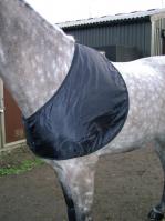 Shoulder Guards - Horse & Pony