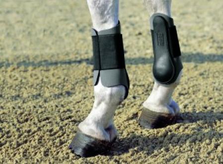 Eskadron Neoprene horse boots front