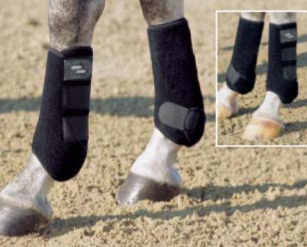 Pro Dressage tendon boots hind