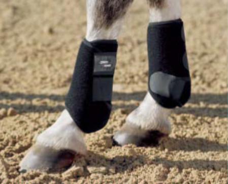 Tendon Boots - Pro Dressage pony boots - hind