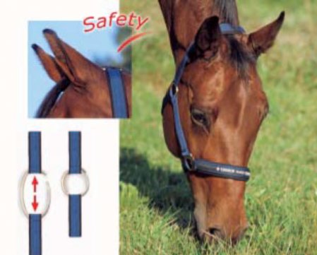 Safety headcollar