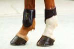 Leather Fetlock boots - back